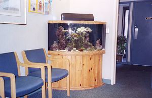 Drs. Kenneth   Robin Rawlinson, LLC | Veneers, Extractions and Root Canals